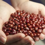 red-beans-587592_960_720
